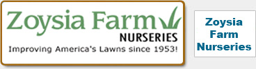 Zoysia Farm Nurseries
